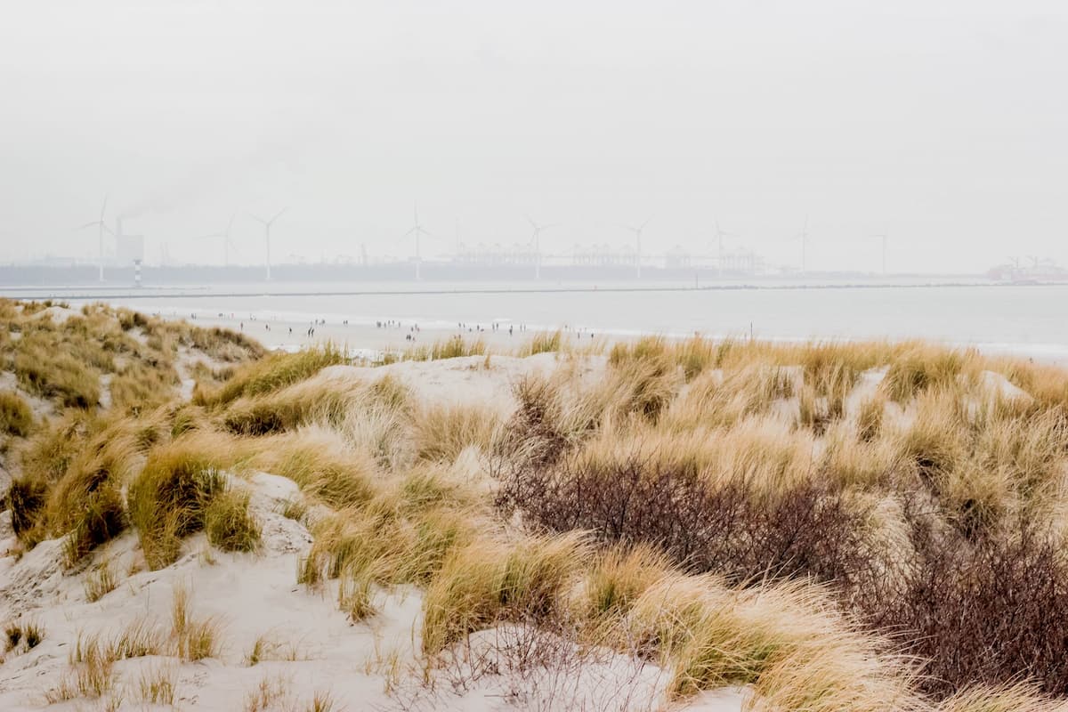 De beste kitesurf spots in Nederland